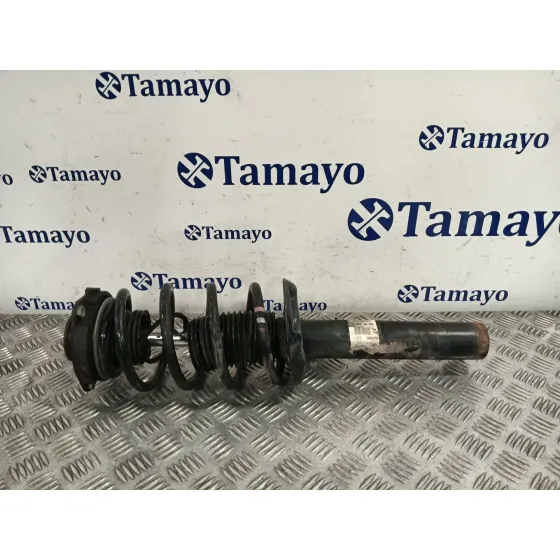 Amortiguador Delantero Izquierdo para Seat Toledo (5P2)