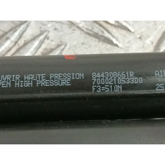 Amortiguadores Maletero / Porton para Renault Clio Iv (Bh_)