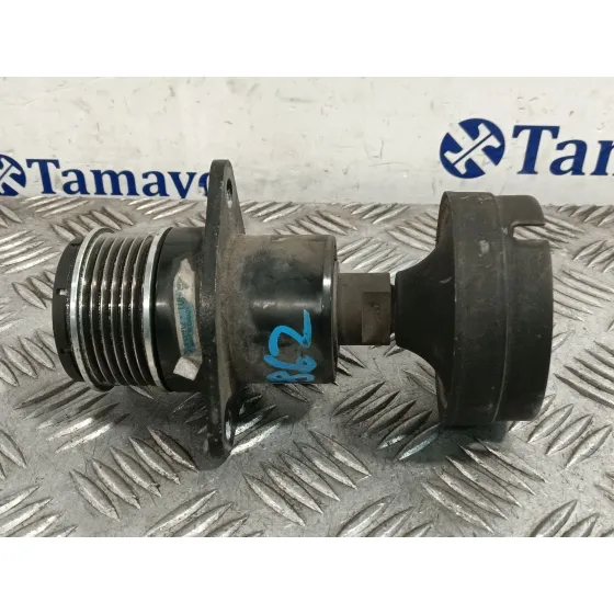 Polea Alternador para Ford Focus C-Max (Dm2)