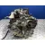 Caja Cambios para Ford Transit Connect V408 Furgoneta/Monovolumen