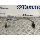Sonda Lambda para Volkswagen Caddy Iv Monospace (Sab, Saj)