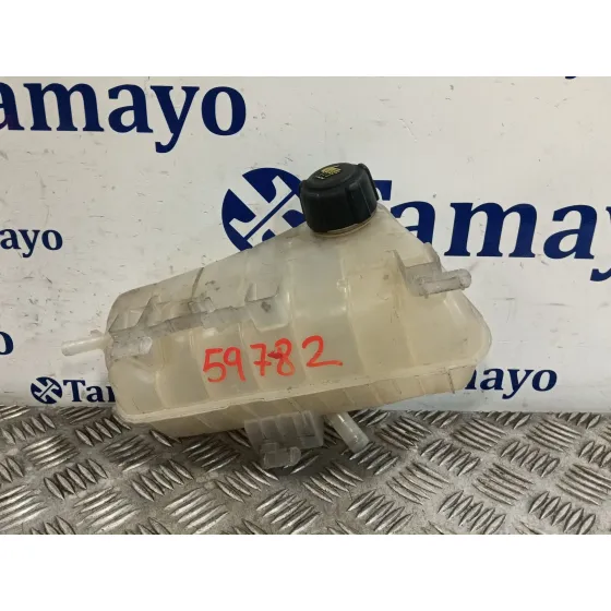 Deposito Expansion para Renault Kangoo / Grand Kangoo Ii (Kw0/1_)