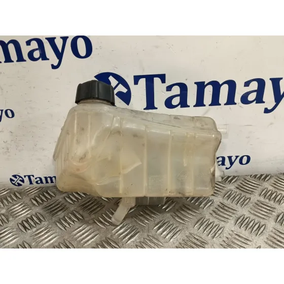 Deposito Expansion para Renault Kangoo / Grand Kangoo Ii (Kw0/1_)