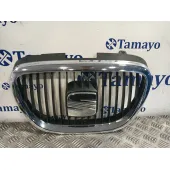 Rejilla Delantera para Seat Toledo (5P2)