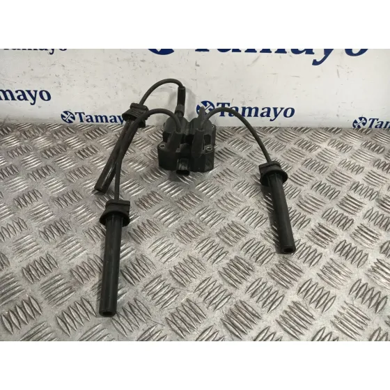 Bobina Encendido para Mini Mini (R50, R53)