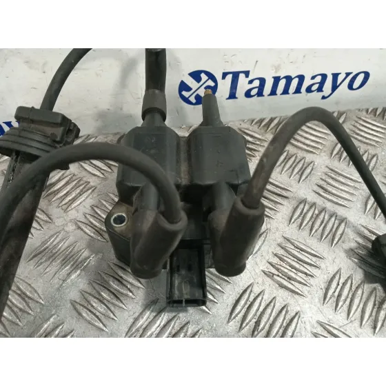 Bobina Encendido para Mini Mini (R50, R53)