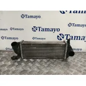 Intercooler para Renault Kangoo / Grand Kangoo Ii (Kw0/1_)