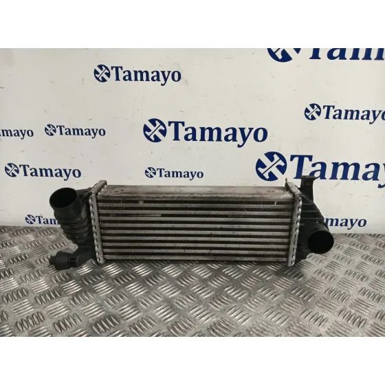Intercooler para Renault Kangoo / Grand Kangoo Ii (Kw0/1_)