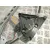 Elevalunas Delantero Izquierdo para Peugeot 108
