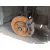 Pinza Freno Delantera Derecha para Peugeot 108