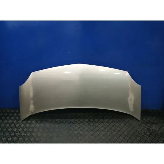 Capot para Renault Kangoo / Grand Kangoo Ii (Kw0/1_)