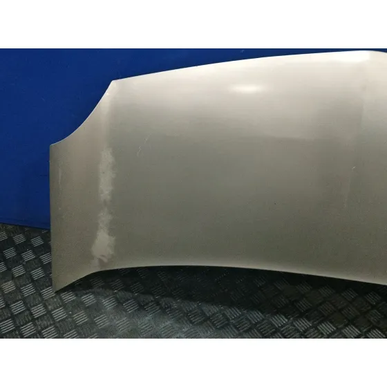 Capot para Renault Kangoo / Grand Kangoo Ii (Kw0/1_)