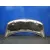 Capot para Peugeot 3008 I Monospace (0U_)