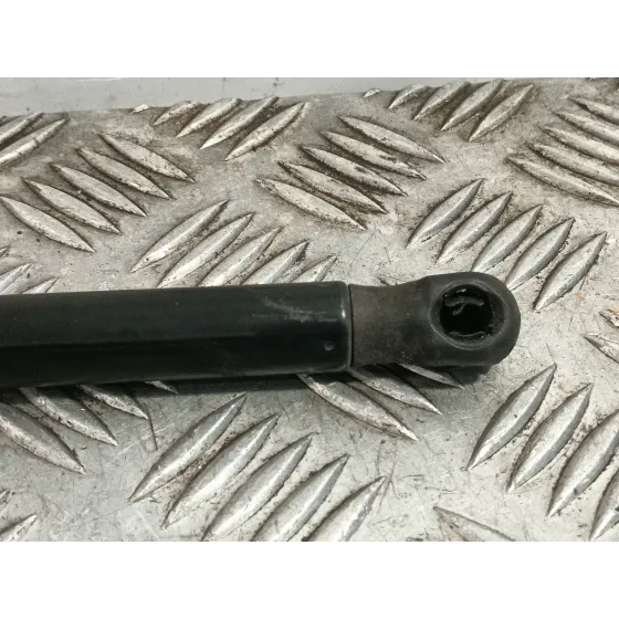 Amortiguadores Capo para Jaguar Xe (X760)