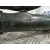 Tubo Intercooler para Volkswagen Golf V (1K1)