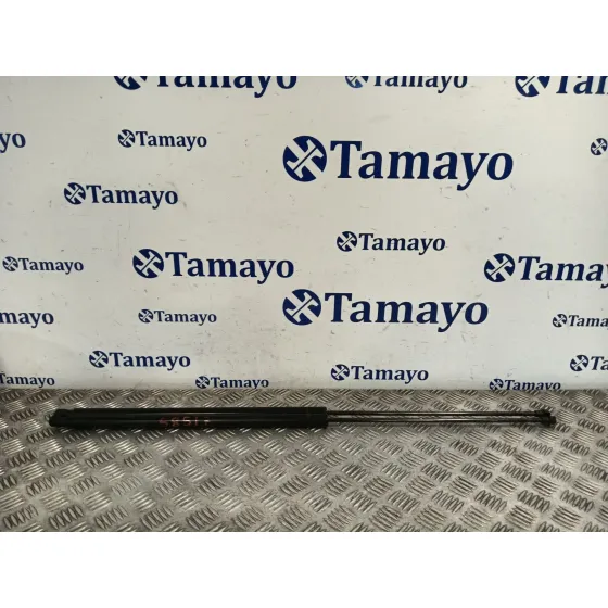 Amortiguadores Maletero / Porton para Seat Toledo (5P2)