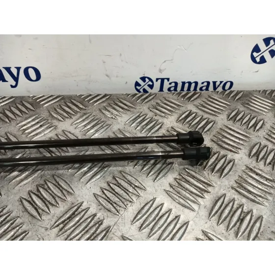Amortiguadores Maletero / Porton para Seat Toledo (5P2)