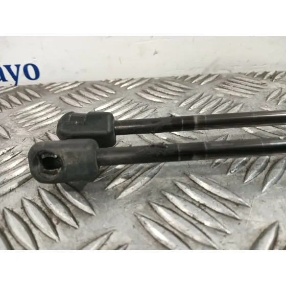 Amortiguadores Maletero / Porton para Ford Kuga I