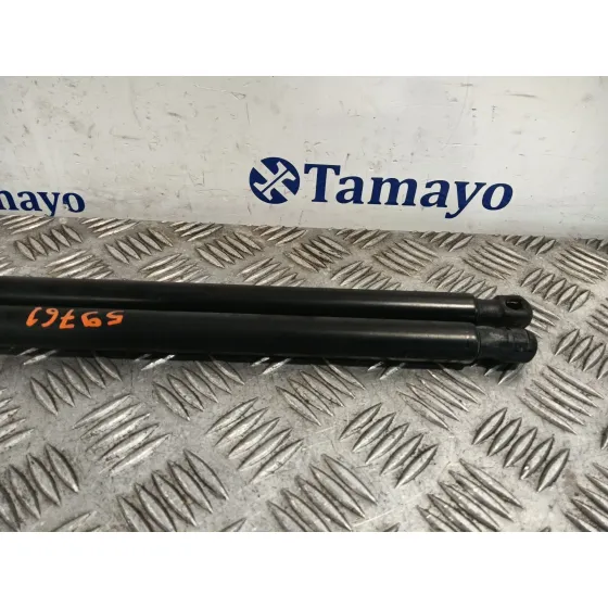 Amortiguadores Maletero / Porton para Ford Kuga I