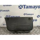 Moldura Puerta Delantera Derecha para Hyundai H350 Furgoneta