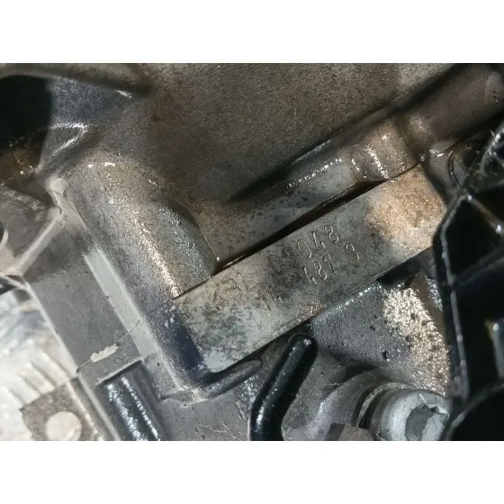 Caja Cambios para Seat Leon (1P1)