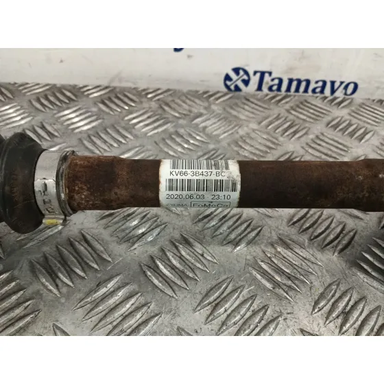 Transmision Delantera Izquierda para Ford Transit Connect V408 Furgoneta/Monovolumen
