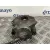 Pinza Freno Delantera Izquierda para Seat Leon (1P1)