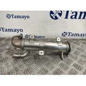 Enfriador Gases para Volkswagen Golf Iv (1J1)