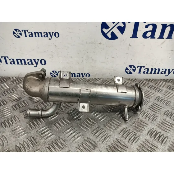 Enfriador Gases para Volkswagen Golf Iv (1J1)