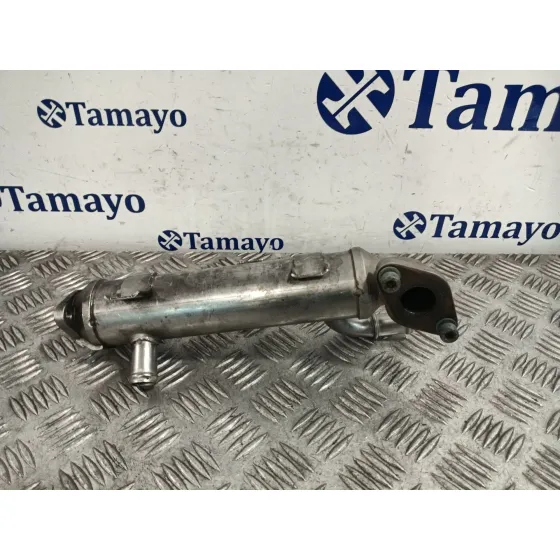 Enfriador Gases para Volkswagen Golf Iv (1J1)