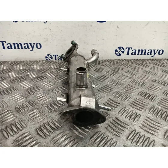 Enfriador Gases para Volkswagen Golf Iv (1J1)