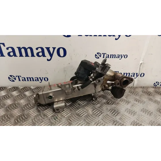Valvula Egr para Bmw 5 Touring (F11)