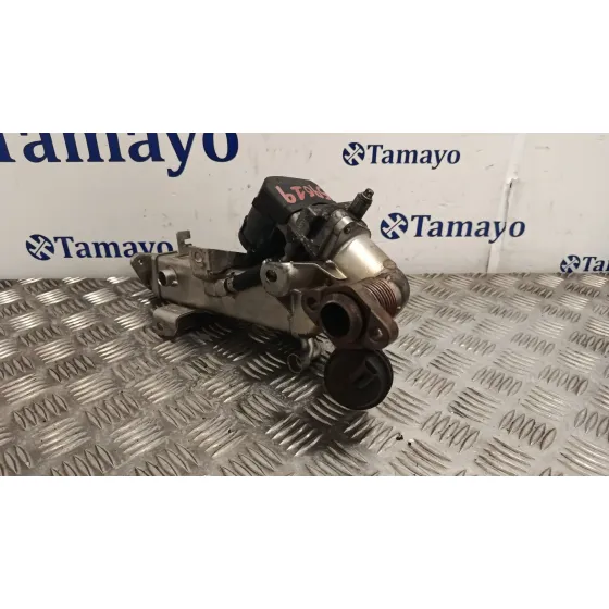 Valvula Egr para Bmw 5 Touring (F11)