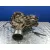 Caja Transfer para Nissan Pick-Up (D22)