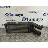 Intercooler para Peugeot 207/207+ (Wa_, Wc_)