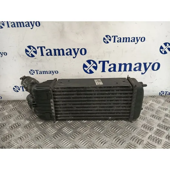 Intercooler para Peugeot 207/207+ (Wa_, Wc_)