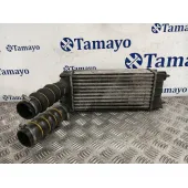 Intercooler para Peugeot 3008 I Monospace (0U_)