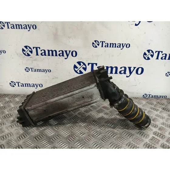 Intercooler para Peugeot 3008 I Monospace (0U_)