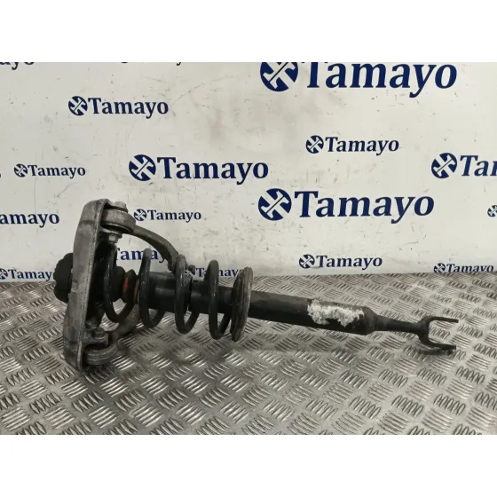 Amortiguador Delantero Izquierdo para Seat Exeo (3R2)