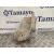Deposito Expansion para Seat Exeo (3R2)