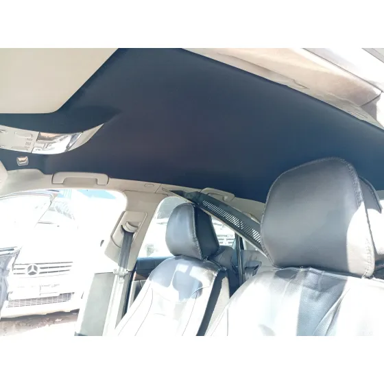 Techo Interior para Seat Exeo (3R2)