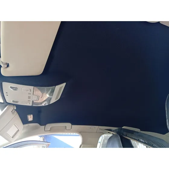 Techo Interior para Seat Exeo (3R2)
