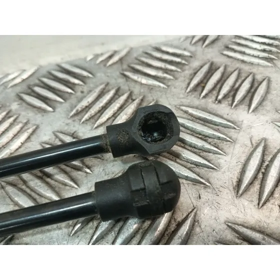 Amortiguadores Maletero / Porton para Renault Megane Iv Hatchback (B9A/M/N_)