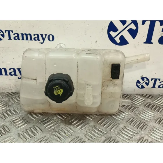 Deposito Expansion para Renault Megane Iv Hatchback (B9A/M/N_)