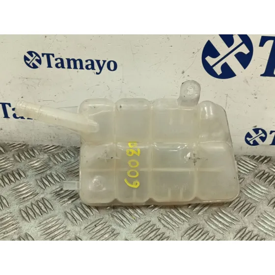 Deposito Expansion para Renault Megane Iv Hatchback (B9A/M/N_)