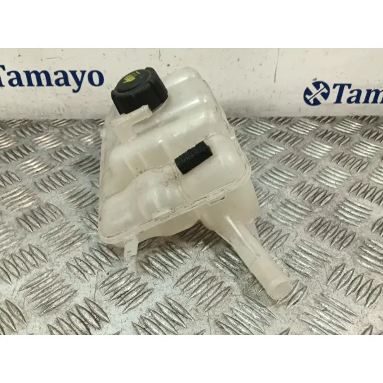 Deposito Expansion para Renault Megane Iv Hatchback (B9A/M/N_)