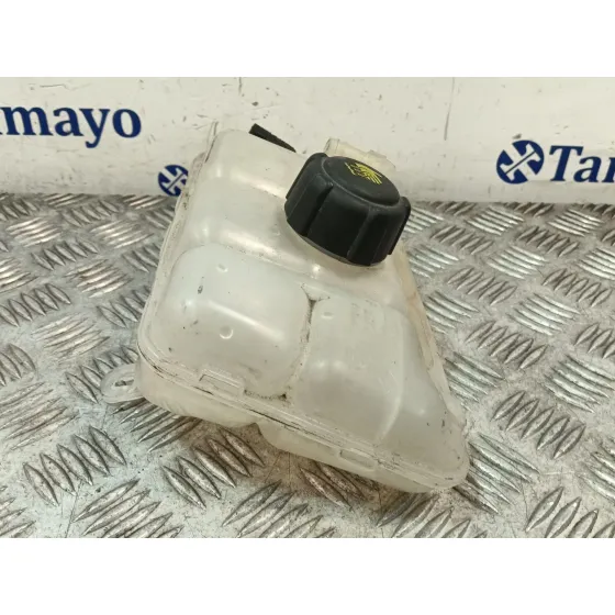Deposito Expansion para Renault Megane Iv Hatchback (B9A/M/N_)