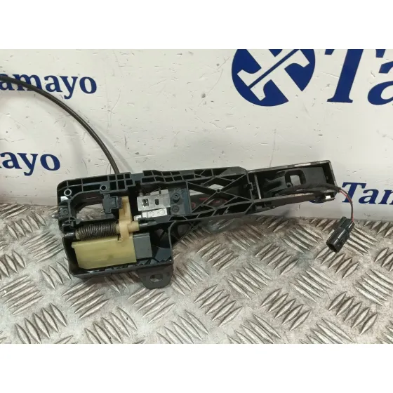 Maneta Exterior Trasera Izquierda para Renault Megane Iv Hatchback (B9A/M/N_)