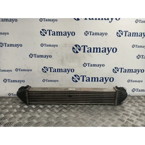 Intercooler para Mercedes-Benz Clase A (W169)