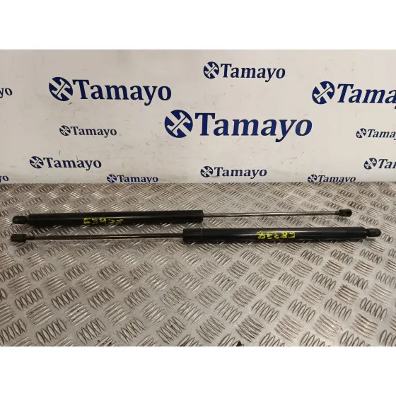 Amortiguadores Maletero / Porton para Mercedes-Benz Vito Furgoneta (W638)